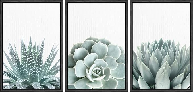 wall26 Framed Wall Art Print Set Green Succulent and Cactus Variety Wilderness Nature Illustrations Modern Art Rustic Closeup Colorful for Living Room, Bedroom, Office Natural - 24"x36"x3 Black