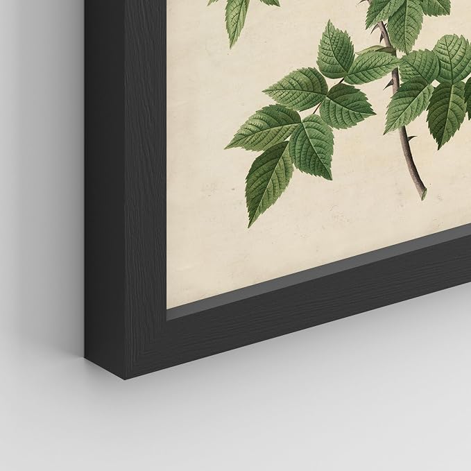 SIGNWIN Framed Vintage Colorful Wildflower Wall Art, Set of 4 Variety Floral Wall Decor Prints, Nature Wilderness Wall D¨¦cor for Living Room, Bedroom - 12"x16" Black