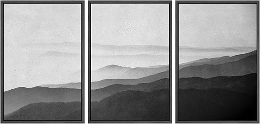 SIGNWIN Framed Canvas Print Wall Art Side of Mountain in Mist Nature Rocky Cozy Neutral Minimalism Contemporary Black and White for Living Room, Bedroom, Office - 16"x24"x3 Black