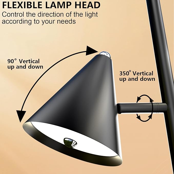 Black Floor Lamp with 3 Rotatable LED Lights，Magnetic Remote，5 Color Temp