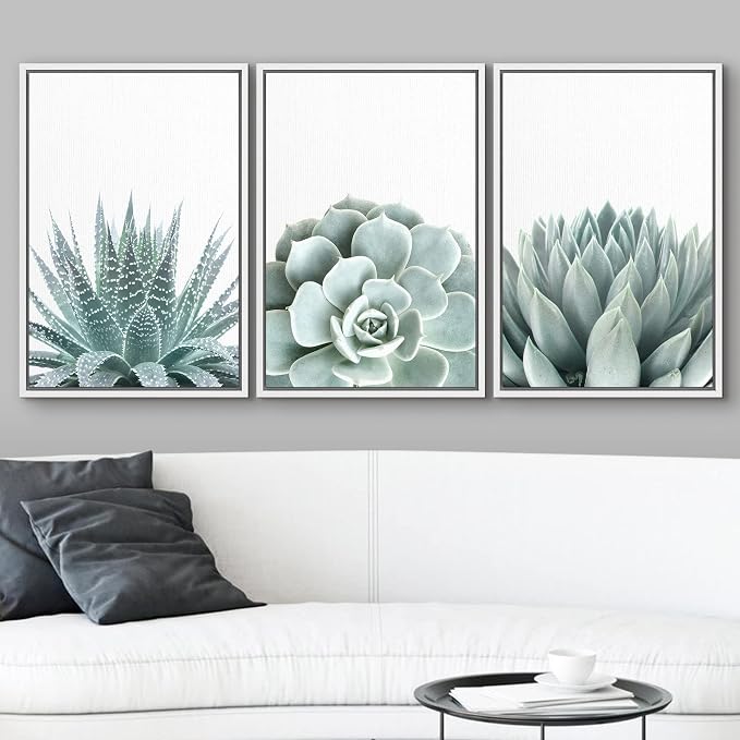 wall26 Framed Wall Art Print Set Green Succulent and Cactus Variety Wilderness Nature Illustrations Modern Art Rustic Closeup Colorful for Living Room, Bedroom, Office Natural - 24"x36"x3 White