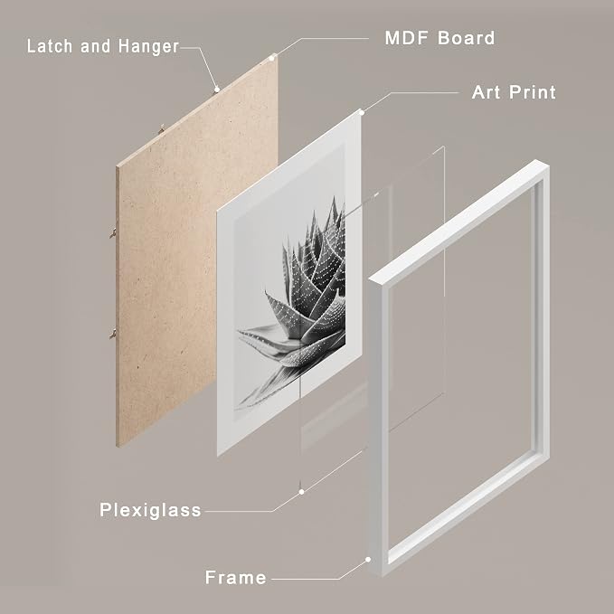 SIGNWIN Framed Black White Snake Plant Agave Cactus Succulent Wall Art, Set of 4 Floral Botanical Wall Decor Prints, Nature Wilderness Wall Décor for Living Room, Bedroom - 11"x14" White