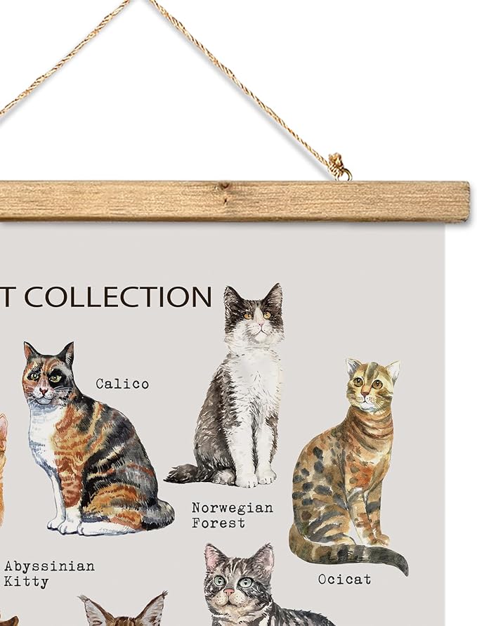 XIAOAIKA Cat Breeds Educational Poster - Illustrated Guide to Popular Feline Varieties with Wooden Scroll Frame - Decorative Wall Art for Cat Lovers and Pet Owners 16 x 23 Inches