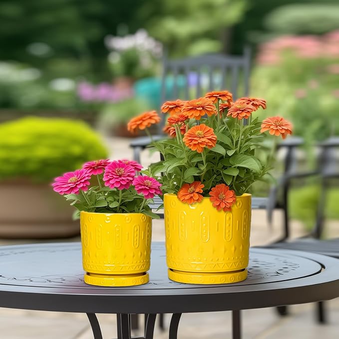 Eightpot Ceramic Pots for Plants, 10 Inch Plant Pot with Drainage Holes and Tray, Round Planter for Indoor Outdoor Plants, Modern Decorative Flower Pots, Office Decor, Birthday Gift for Women, Yellow