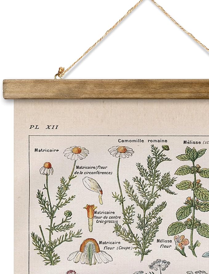 XIAOAIKA Vintage Botanical Herbs Illustration Poster - Retro Medicinal Plant Chart with Wooden Frame - Educational Herbal Reference for Home, Kitchen, or Classroom Decor 16 x 23 Inches