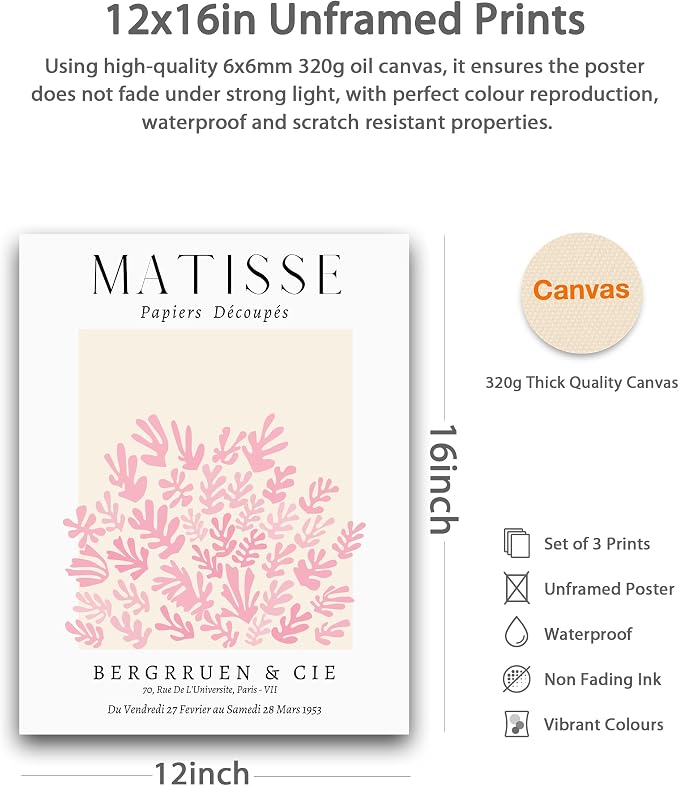 HesenDot Unframed Matisse Pink Wall Art,12x16in Canvas Prints Set of 3, Modern Abstract Wall Decor Posters,Minimalist Home Decoration for Living Room Bedroom Office, Unframed