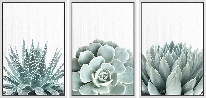 wall26 Framed Wall Art Print Set Green Succulent and Cactus Variety Wilderness Nature Illustrations Modern Art Rustic Closeup Colorful for Living Room, Bedroom, Office Natural - 24"x36"x3 White