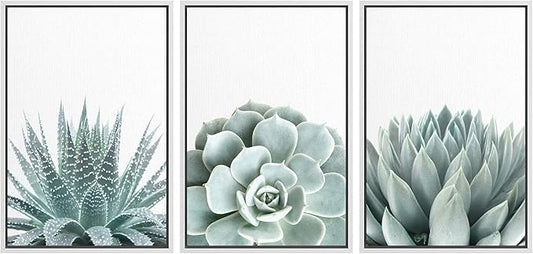 wall26 Framed Wall Art Print Set Green Succulent and Cactus Variety Wilderness Nature Illustrations Modern Art Rustic Closeup Colorful for Living Room, Bedroom, Office Natural - 24"x36"x3 White