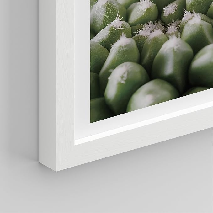 SIGNWIN Framed Tropical Island Wall Art, Set of 4 Green Desert Plant Cactus Snake Plant Wall Decor Prints, Nature Wilderness Wall Décor for Living Room, Bedroom - 11"x14"White