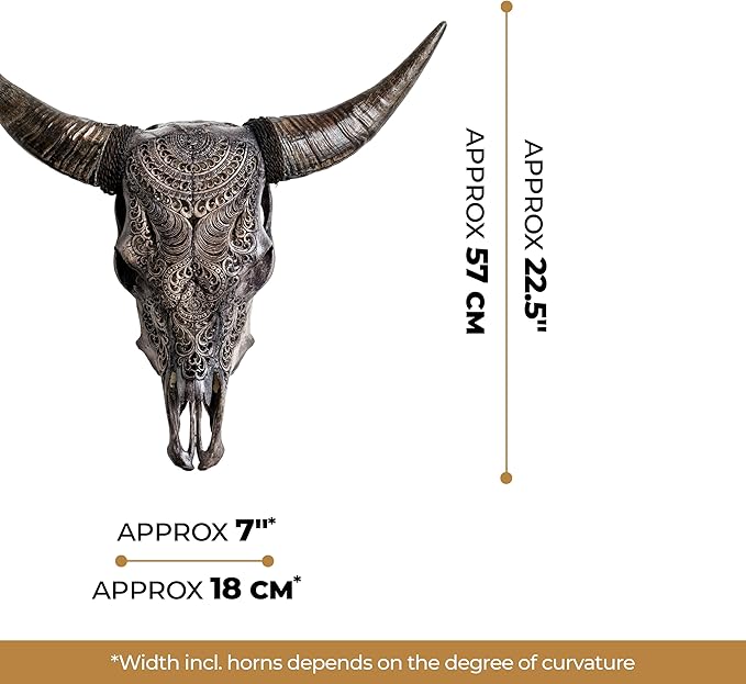 Skull Bliss - Hand-Carved Real Authentic Taxidermy Cow Skull/Bull Skull Wall Decor with Horns/Real Animal Cow Skull Wall Decor (Standard Horns)