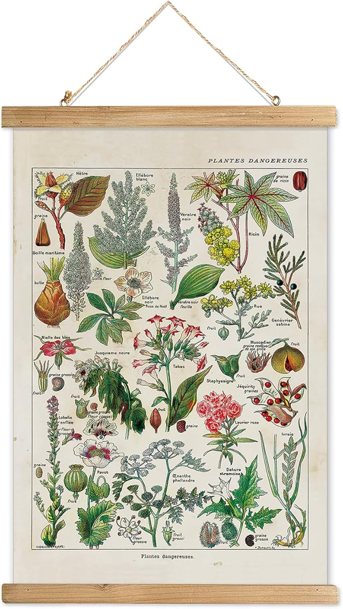XIAOAIKA Vintage Botany Poster with Wooden Frame, Antique Poisonous Plants Chart - Botanical Educational Art with Dangerous Species - Retro-Style Wall Hanging for Home Classroom Decor 16 x 23 Inches