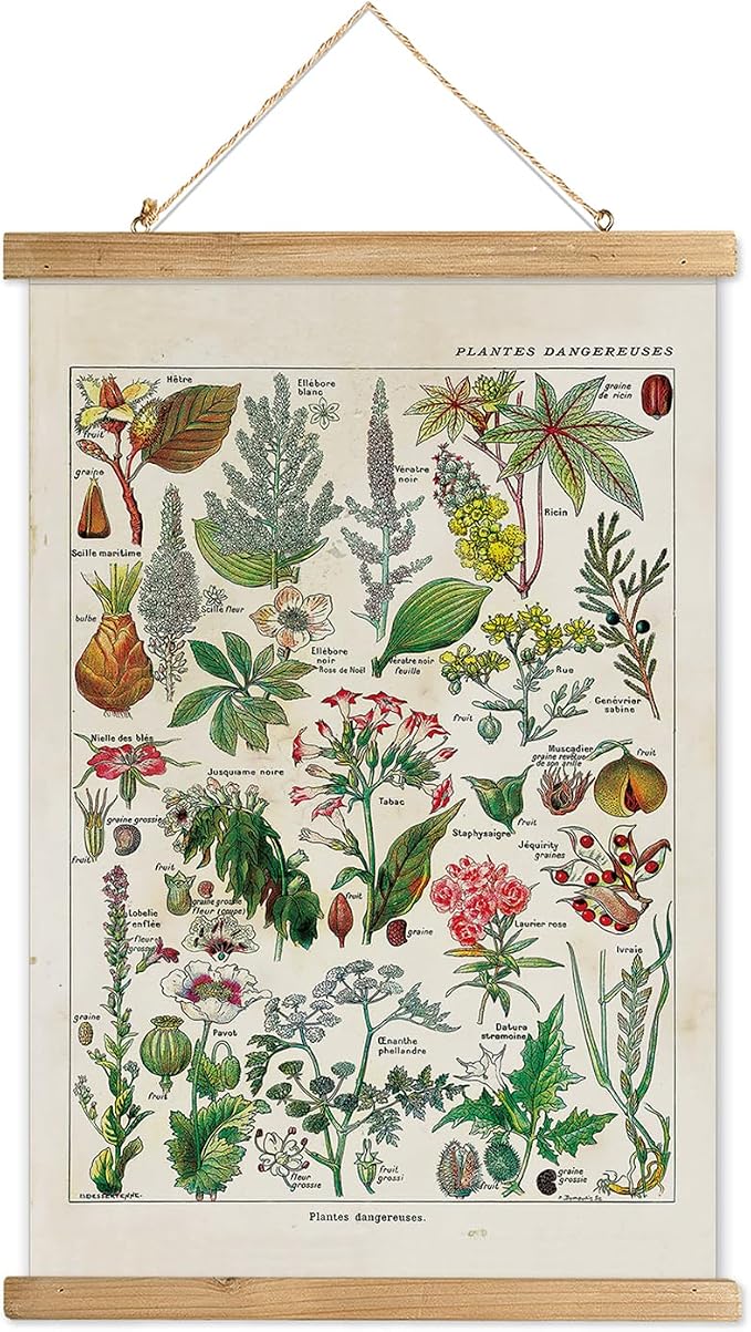 XIAOAIKA Vintage Botany Poster with Wooden Frame, Antique Poisonous Plants Chart - Botanical Educational Art with Dangerous Species - Retro-Style Wall Hanging for Home Classroom Decor 20 x 30 Inches