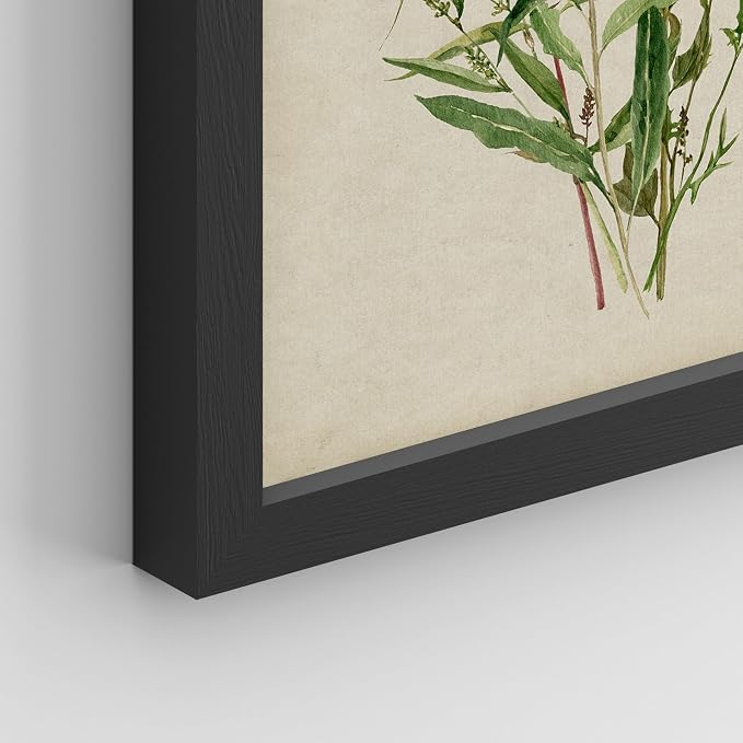 SIGNWIN Framed Watercolor Floral Botanical Wall Art, Set of 4 Vintage Wall Decor Prints, Minimalist Wall Décor for Living Room, Bedroom - 12"x16" Black