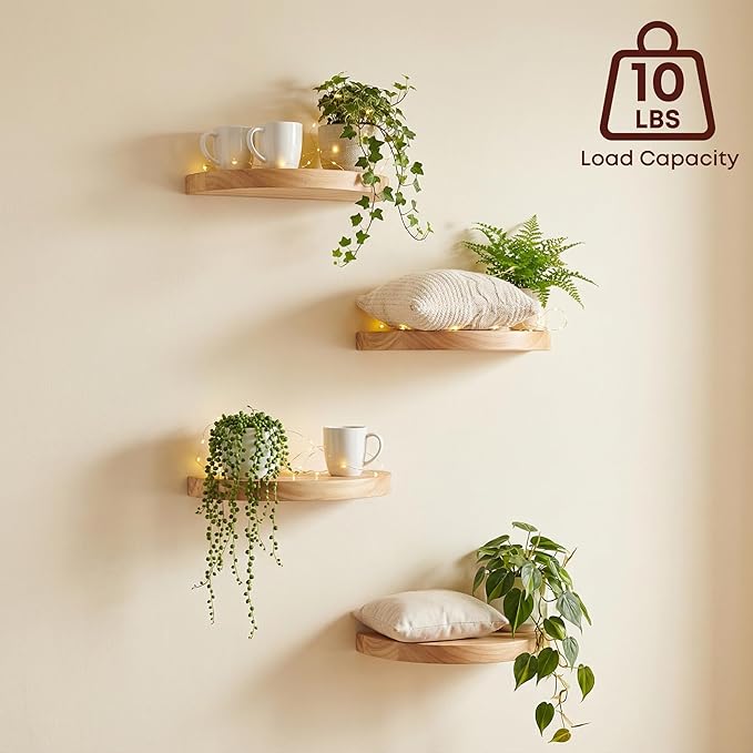 Small Wood Floating Shelves (2-Pack, 6-inch Diameter) - Round Sturdy Invisible Wall Mount Display for Small Plants,Toys,Bathroom,Living Room Storage & Modern Rustic Décor (Carbonized Brown)
