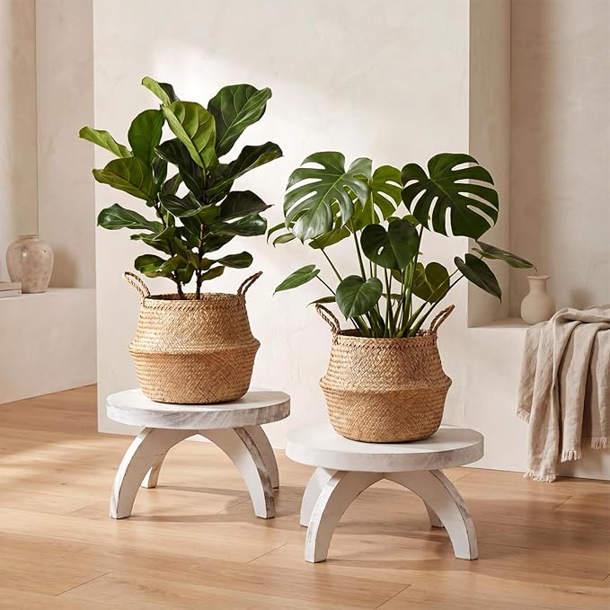 Novabright 2 Pcs Short Plant Pedestal Wood Plant Stool Round Low Wood Riser Pedestal Display Decor Flower Indoor Outdoor Rustic Farmhouse Table Balcony Decor Board Flower Holder Rise (White)
