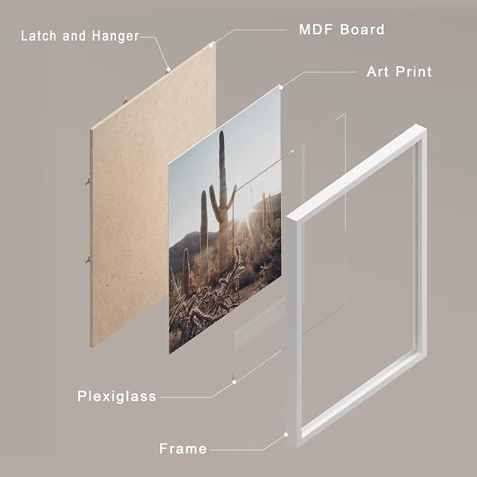 SIGNWIN Framed Cactus Desert Landscape Wall Art, Set of 4 Southwest Texas Arizona Saguaro Wall Decor Prints, Nature Wilderness Wall Décor for Living Room, Bedroom - 11"x14"x 4 White