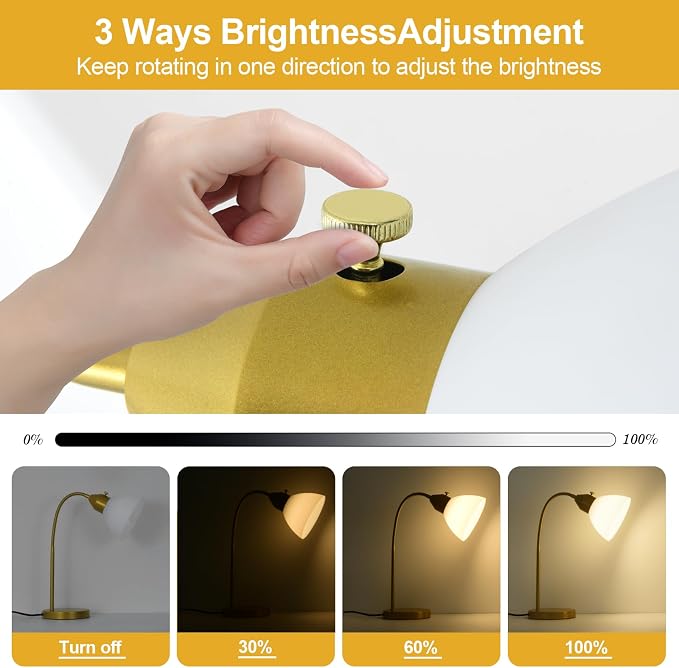 RISLG LED Desk Lamp for Home Office, 3 Levels Dimmable Reading Light, Flexible Table Lamp for Bedside Office, Rotary Switch Control, Desk Lamp for College Dorm Study Lamp, Bulb Included, Gold