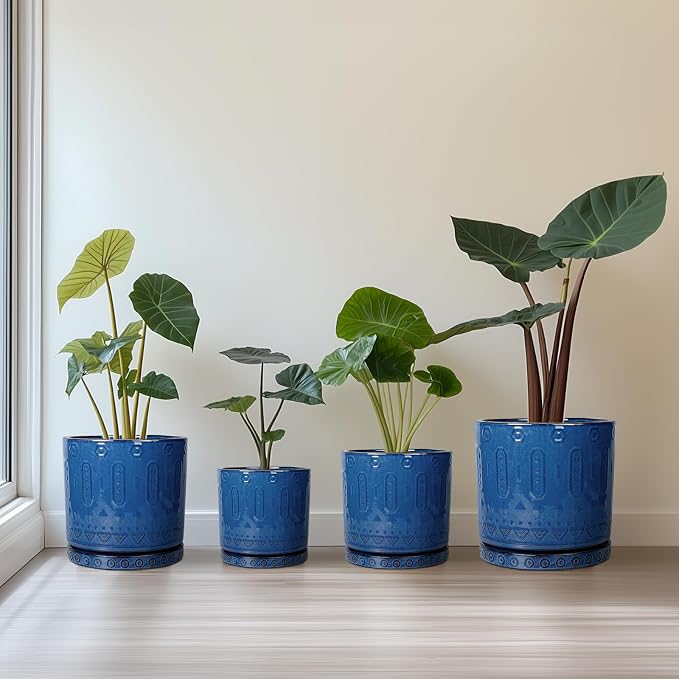 Eightpot 8 Inch Planter, Ceramic Plant Pots with Drainage Hole and Tray, Round Flower Pots for Indoor Plants Outdoor, Boho Planter, Decorative Pot for Plants, Plant Lover Gifts, House Decor, Blue
