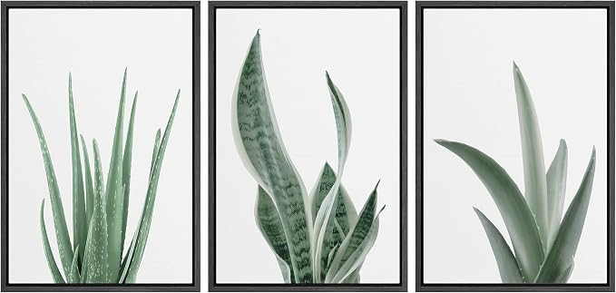 wall26 Framed Canvas Print Wall Art Set Minimal Snake Plant Agave Succulents Nature Wilderness Photography Modern Art Bohemian Decorative for Living Room, Bedroom, Office - 16"x24"x3 Black