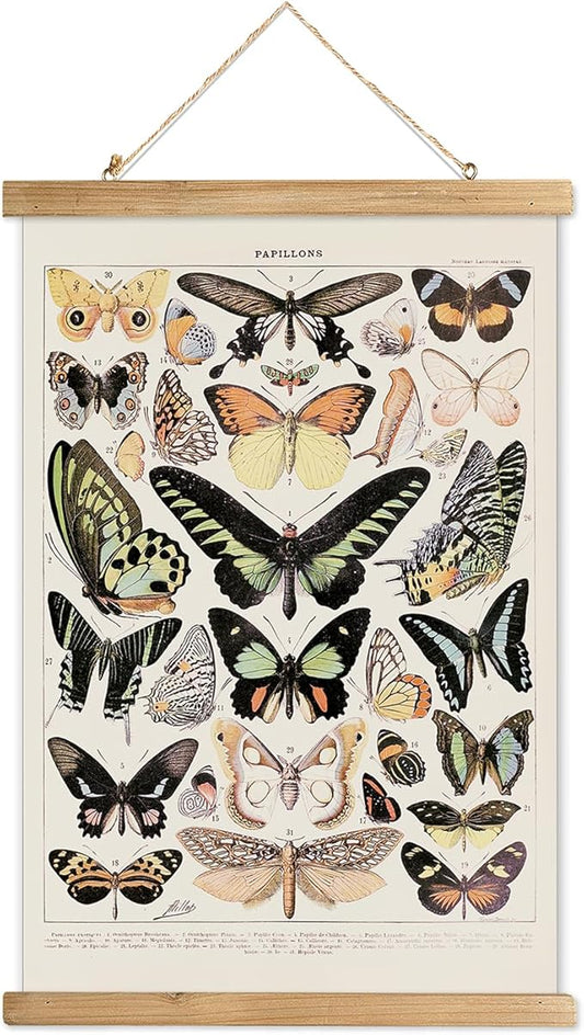 XIAOAIKA Vintage Butterfly Poster Hanger Frame, Cottagecore Room Decor Aesthetic, Retro Style Wall Decor Art Painting, Patterns are Printed on Linen Without Fading (16 x 23 inches)