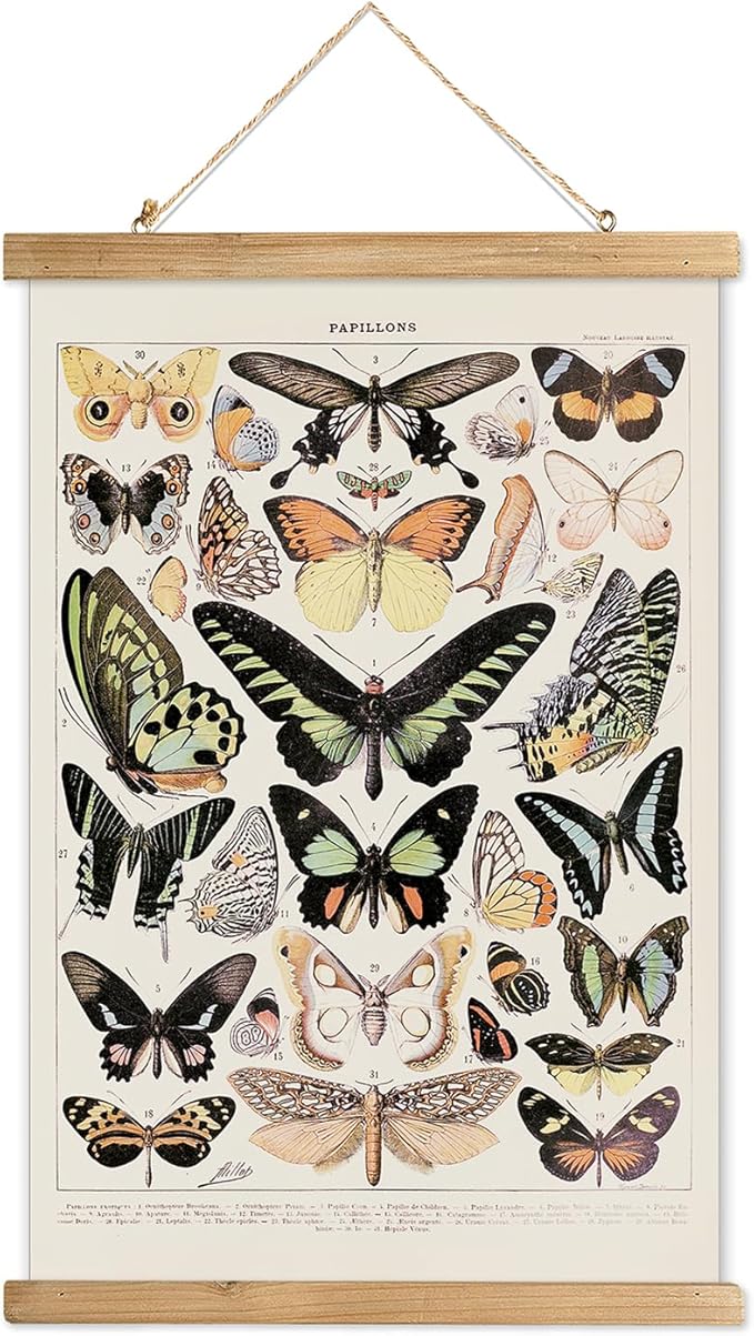 XIAOAIKA Vintage Butterfly Hanging Poster with Wooden Frame, Retro Style Wall Decor Art Painting, Patterns Printed on Linen Without Fading, Ready to Hang (12 x 16)