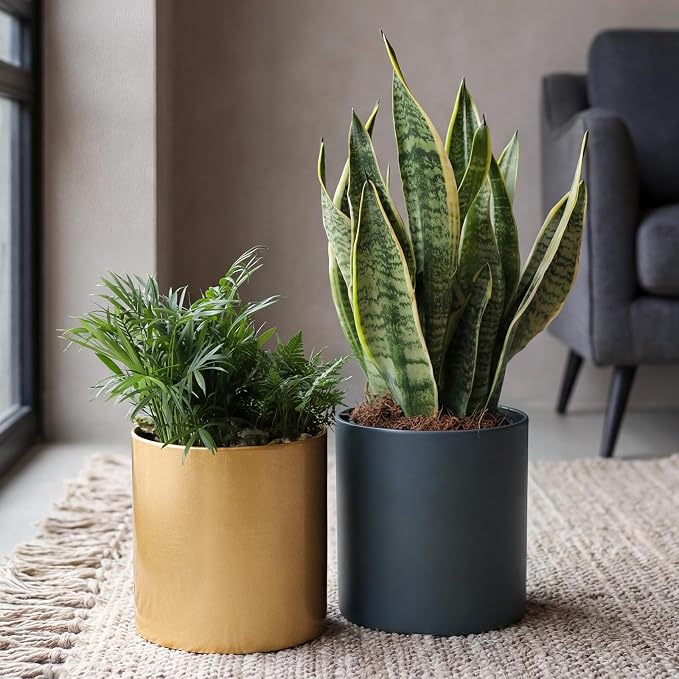 Gold Metal Plant Pot with Drainage Hole,7 Inch Mid Century Modern Small Pot Indoor Outdoor Planters for Succulents, Flowers & Home Decor Gift Window Living Room Bedroom
