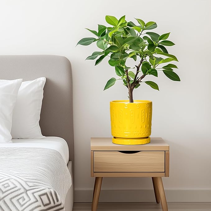 Eightpot 6 Inch Pots for Plants, Ceramic Pots for Plants with Drainage Holes and Tray, Round Planter for Indoor Outdoor, Modern Plant Pot, Decorative Flower Pot, Table Decor, Teacher Gift, Yellow