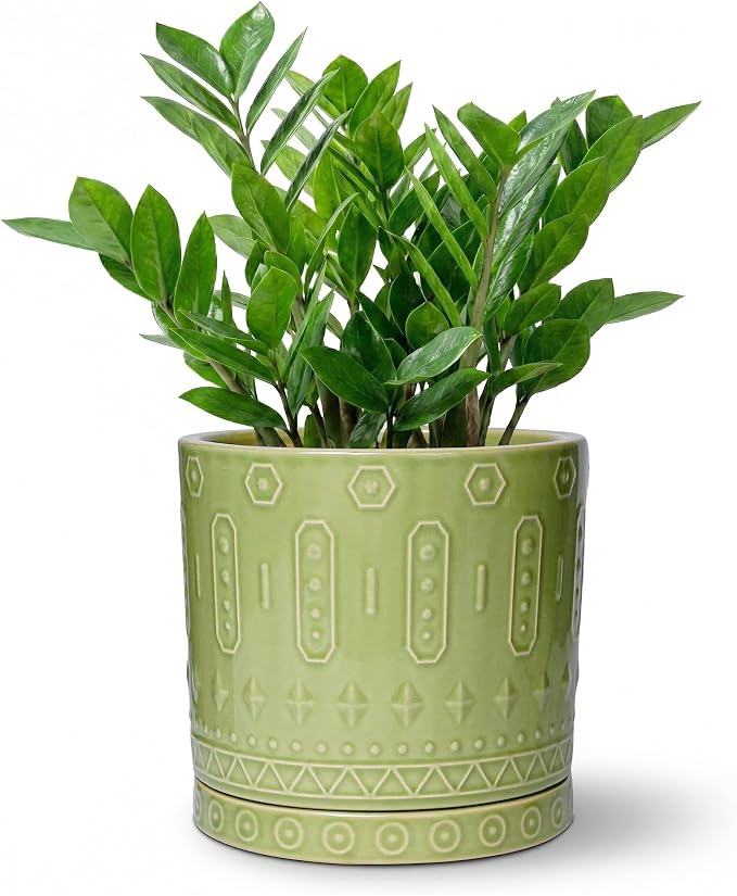 Eightpot Ceramic Pots for Plants, 8 Inch Plant Pot with Drainage Hole and Tray, Round Planters for Indoor Plants, Modern Flower Pot, Decorative Planter, Living Room Decor, Gardening Gifts, Green