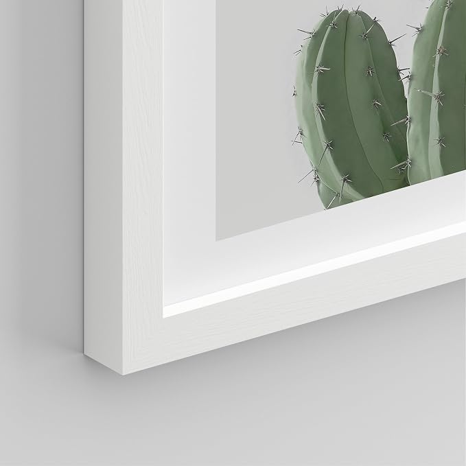 SIGNWIN Framed Green Cactus Snake Plant Wall Art, Set of 4 Collage Desert Landscape Wall Decor Prints, Nature Wilderness Wall Décor for Living Room, Bedroom - 11"x14"White