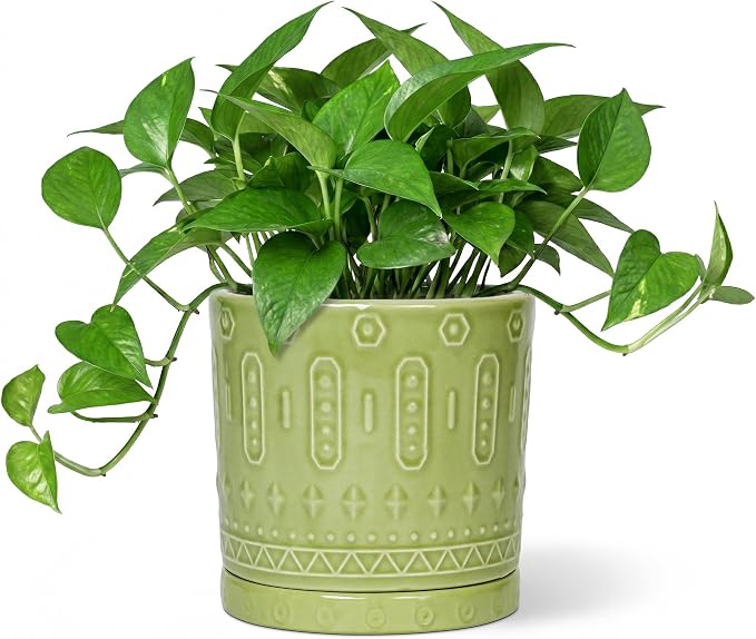 Eightpot Ceramic Flower Pots, 6 Inch Planter for Indoor Plants Outdoor, Round Pots for Plants with Drainage Hole and Tray, Modern Decorative Plant Pot, Bathroom Decor, Green