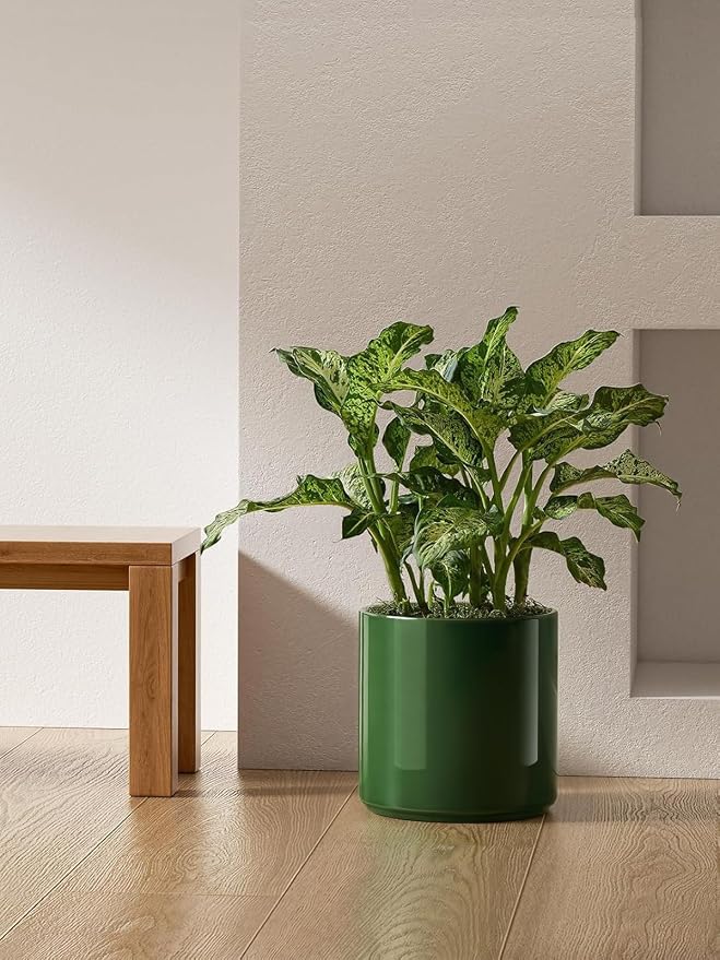 LE TAUCI 12 Inch Pot for Plants, Ceramic Planters for Indoor Plants, Mid-Century Modern Cylinder Flower Pots with Drainage Hole, Fits Fiddle Leaf Fig & Monstera, Home Decor, Bamboo Green