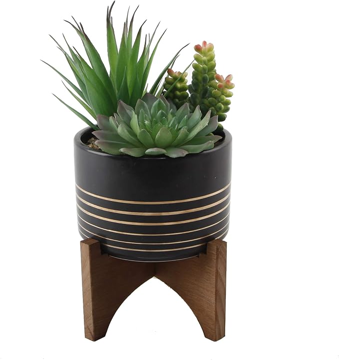 Flora Bunda Mid Century 4.75 inch Ceramic Planter on Wood Stand Great for Succulent Desktop Black/Gold Line