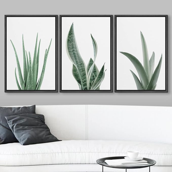 wall26 Framed Canvas Print Wall Art Set Minimal Snake Plant Agave Succulents Nature Wilderness Photography Modern Art Bohemian Decorative for Living Room, Bedroom, Office - 16"x24"x3 Black