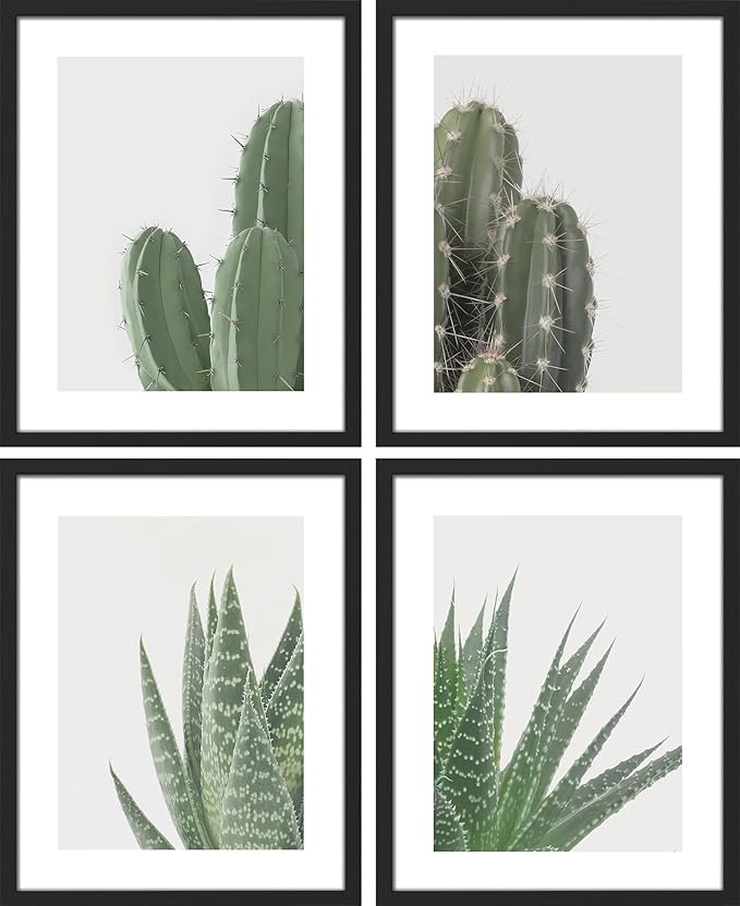 SIGNWIN Framed Green Cactus Snake Plant Wall Art, Set of 4 Collage Desert Landscape Wall Decor Prints, Nature Wilderness Wall Décor for Living Room, Bedroom - 12"x16" Black