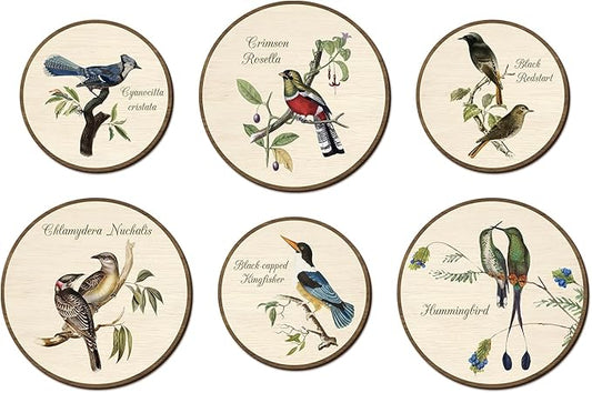 TOARTi 6pcs Vintage Bird Wall Art Set(9.9”x3/7.9”x3) Round Bird Botanical Wooden Plaques Rustic Bird Plant Round Wall Hanging Farmhouse Birds Wall Decor for Home Bedroom Living Room Bird Lover Gift