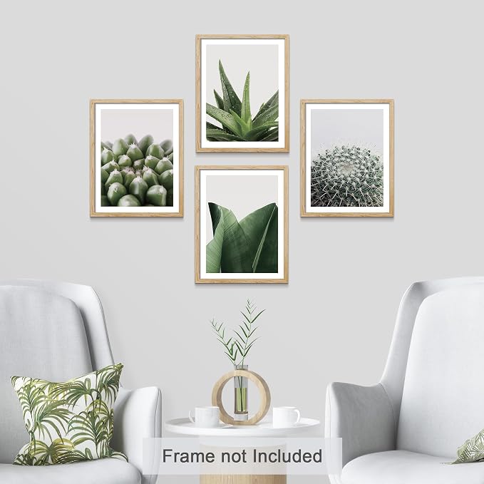 SIGNWIN Adhesive Canvas Poster Tropical Island Green Desert Plant Cactus Snake Plant Nature Wilderness Photography Realism Decorative Rustic Cozy Zen for Living Room, Bedroom, Office - 8"x10"x 4