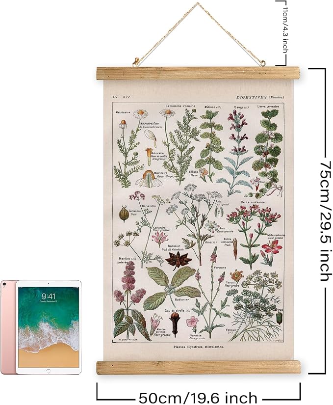 XIAOAIKA Vintage Botanical Herbs Illustration Poster - Retro Medicinal Plant Chart with Wooden Frame - Educational Herbal Reference for Home, Kitchen, or Classroom Decor 20 x 30 Inches