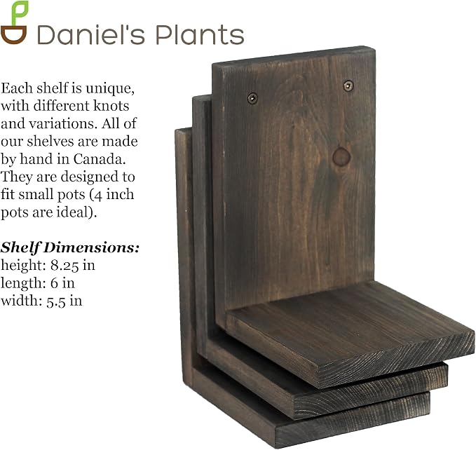 Daniel's Plants 3-Pack Mid-Century Modern L-Shaped Floating Shelves | Solid Wood Plant Ledge | Wall Mounted Shelf Kit (Prairie Sand)