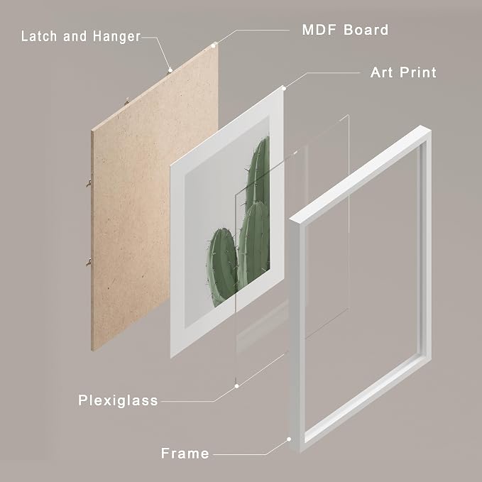 SIGNWIN Framed Green Cactus Snake Plant Wall Art, Set of 4 Collage Desert Landscape Wall Decor Prints, Nature Wilderness Wall Décor for Living Room, Bedroom - 12"x16" White
