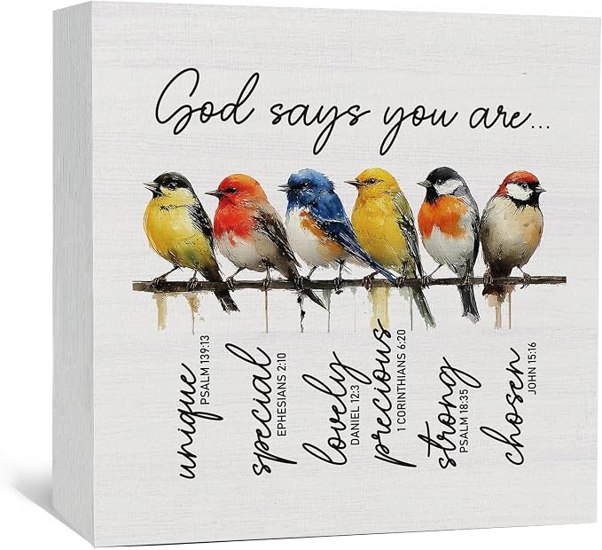 Christian Inspirational God Says You Are Sign - Bible Verse Religious Bird Shelf Desk Decor, Inspirational Bird Wooden Box Sign, Christian God Says You Are Gifts for Women Decorative Signs & Plaques