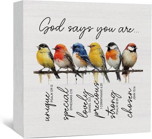 Christian Inspirational God Says You Are Sign - Bible Verse Religious Bird Shelf Desk Decor, Inspirational Bird Wooden Box Sign, Christian God Says You Are Gifts for Women Decorative Signs & Plaques
