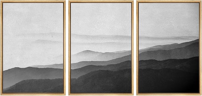 SIGNWIN Framed Canvas Print Wall Art Side of Mountain in Mist Nature Rocky Illustrations Minimalism Contemporary Black and White for Living Room, Bedroom, Office - 16"x24"x3 Natural