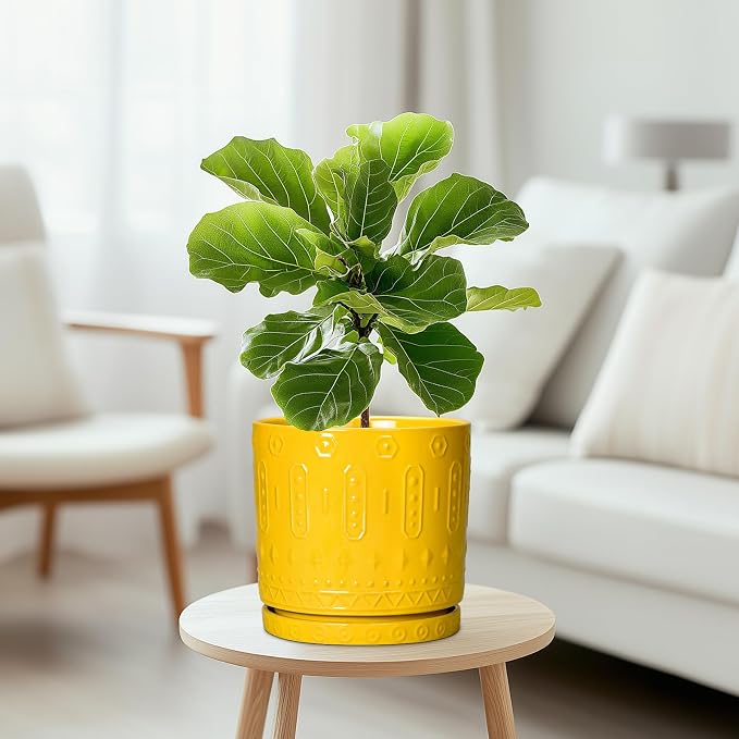 Eightpot 8 Inch Plant Pot, Ceramic Pots for Plants with Drainage Hole and Sacuer, Round Flower Pots for Indoor Outdoor Plants, Modern Decorative Planter, Table Decor, Plant Gifts for Women, Yellow