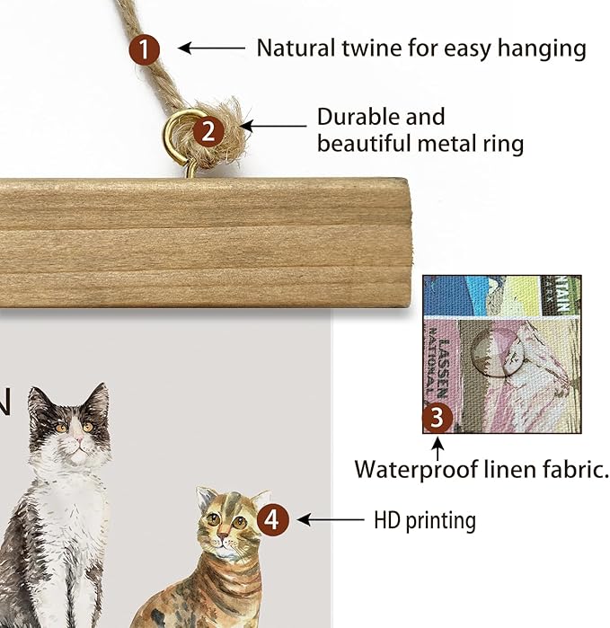 XIAOAIKA Cat Breeds Educational Poster - Illustrated Guide to Popular Feline Varieties with Wooden Scroll Frame - Decorative Wall Art for Cat Lovers and Pet Owners 16 x 23 Inches