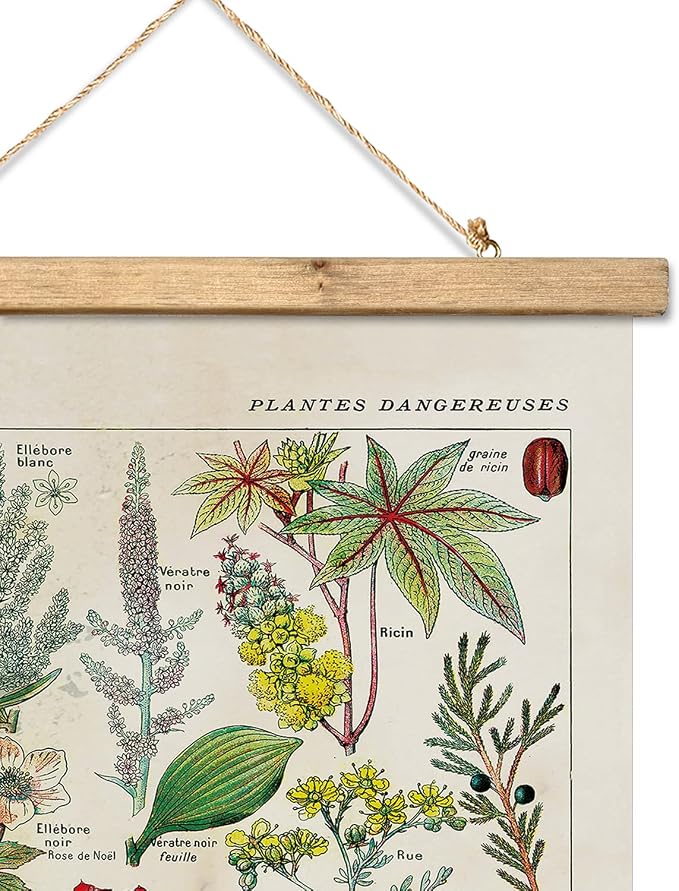 XIAOAIKA Vintage Botany Poster with Wooden Frame, Antique Poisonous Plants Chart - Botanical Educational Art with Dangerous Species - Retro-Style Wall Hanging for Home Classroom Decor 12 x 16 Inches