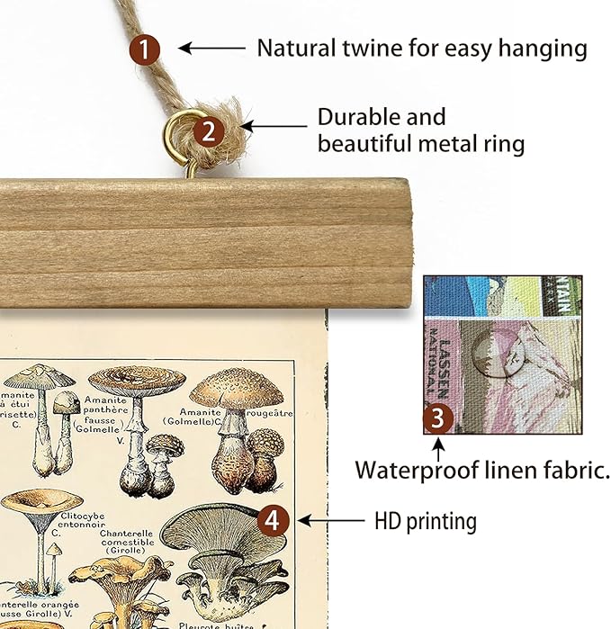 XIAOAIKA Vintage Mushroom Poster with Wooden Frame - Classic Botanical Print with Variety of Fungi Species - Retro Style Wall Art Decor for Kitchen, Living Room, Classroom 12 x 16 Inches