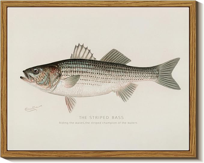 InSimSea Vintage Framed Wall Art for Living Room, Striped bass Canvas Decor, Minimalism Artwork Prints, Animals Oil Painting Wall Decor Gallery Picture, for Bathroom Bedroom Kitchen 10L x 8W