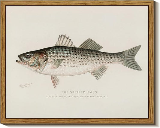 InSimSea Vintage Framed Wall Art for Living Room, Striped bass Canvas Decor, Minimalism Artwork Prints, Animals Oil Painting Wall Decor Gallery Picture, for Bathroom Bedroom Kitchen 10L x 8W