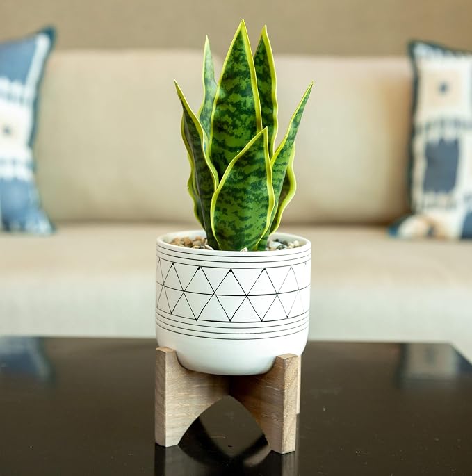 Flora Bunda 5" White Black Ceramic Geometric W/Wood Stand Planter Mid Century