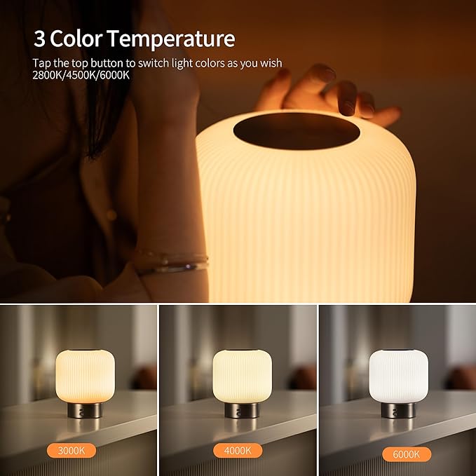 Aisilan Opal Glass Cordless Table Lamp, Touch Control & Motion Sensor, Stepless Dimmable Rechargeable Bedside Lamp for Bedroom & Living Room Decor